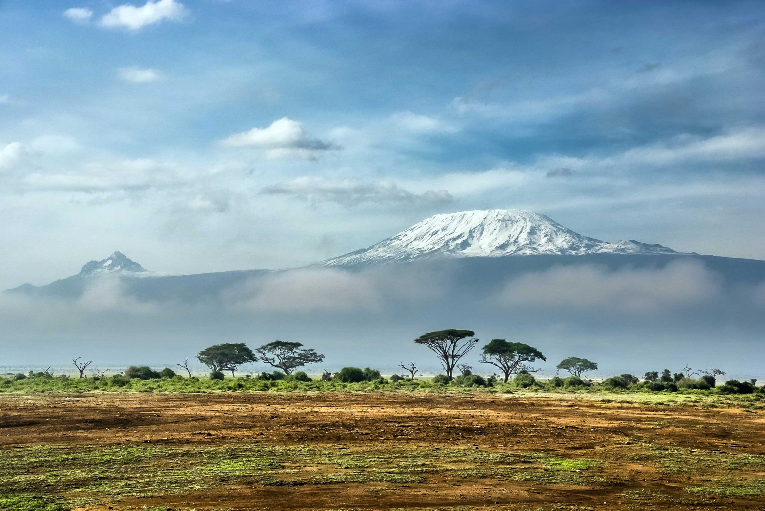 Read more about the article Day 352: In The Shadow of Kilimanjaro
